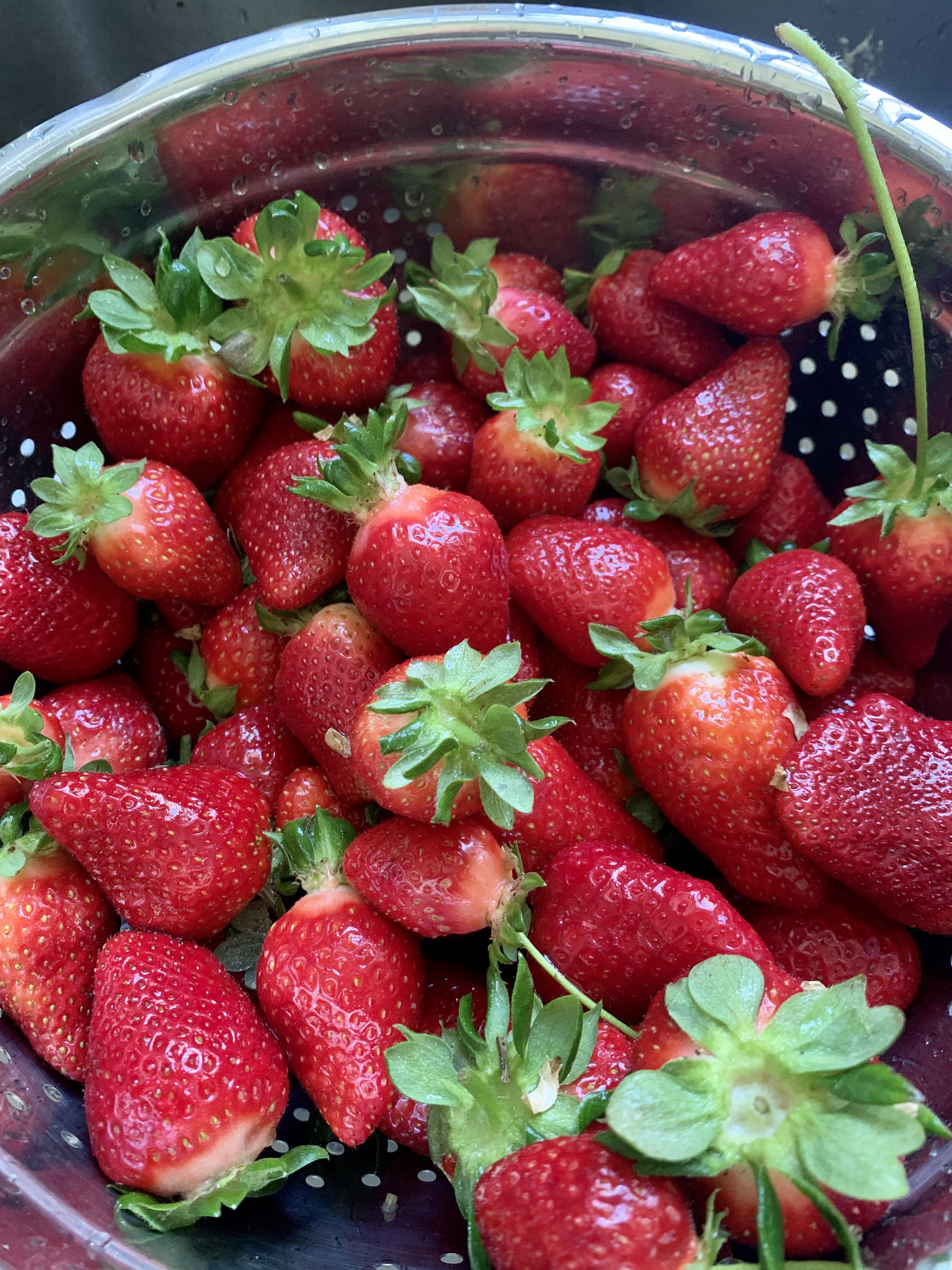 strawberries 2020